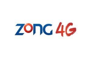 wpid-zong_4g-logo-300x187.jpg