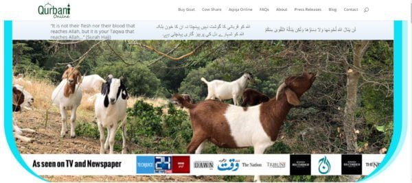 Qurbani_online