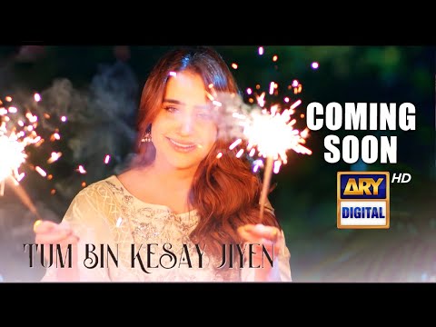 Teaser 2 | Tum Bin Kesay Jiyen | Coming Soon | ARY Digital