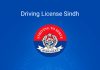 Driving License