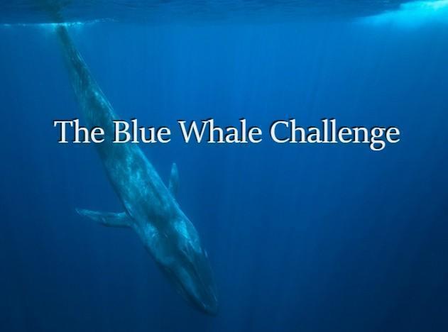 Blue Whale Challenge Game