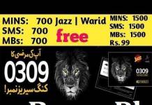 Jazz Warid 0309 King Series Offer