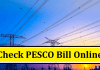 check pesco bill online