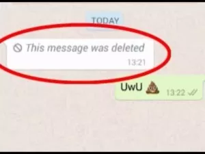 deleted msg
