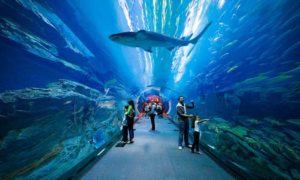 Places to Visit in Dubai