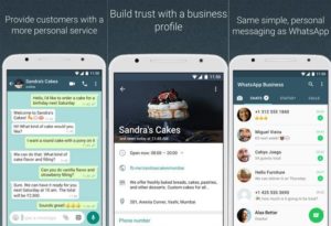 Business Double WhatsApp Accounts