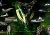 Animated Film Operation 786