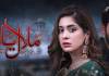 Drama Serial Malal-e-Yaar