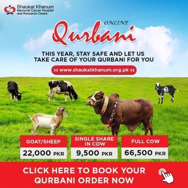 Online Qurbani Safe Qurbani in Pakistan
