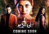 Neeli Zinda Hai