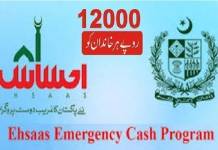 Ehsaas program CNIC check online registration 2022