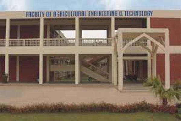 University of Agriculture Faisalabad department
