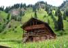 Kashmir Files Near Me