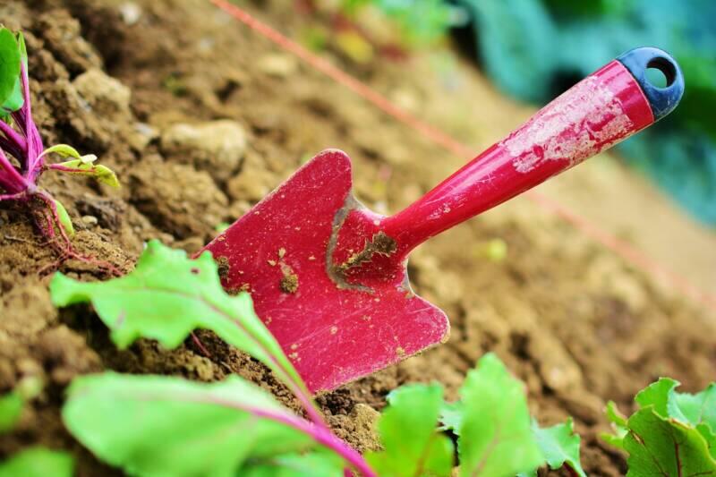 Garden Tools