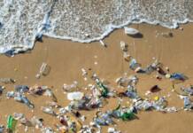 Plastic Pollution