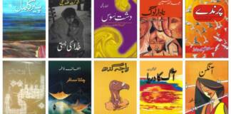 Best Urdu Novels