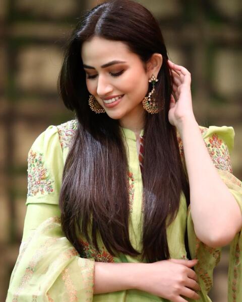 Sana Javeds Journey To Stardom The Controversial Moments That Defined Her Career - v38whuz