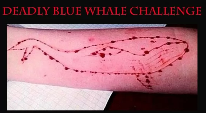 Blue Whale Challenge Game
