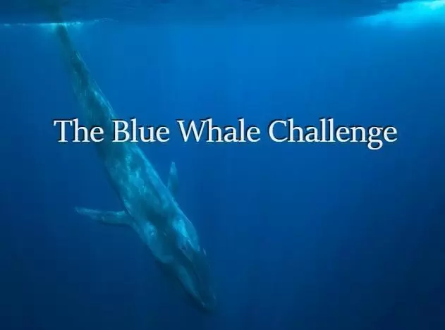 The Blue Whale Challenge Game: Reality Revealed