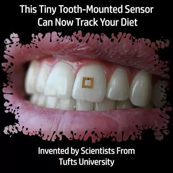 Tooth Sensor Discovered to Keep Track of What You Eat and Drink