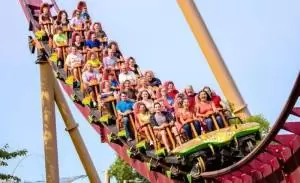 Roller Coasters
