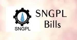 Sngpl Online Bill