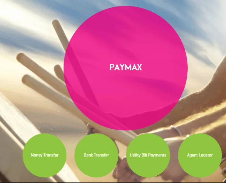 Zong PayMax-Mobile Account| Bill Payment, Money Transfer & Charges