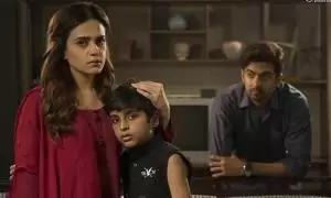 Khafa Khafa Zindagi cast