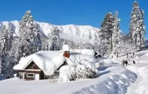 Heavy Snowfall