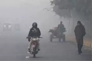 combat against smog