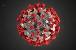 coronavirus