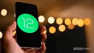Android-12-stock-photo-5