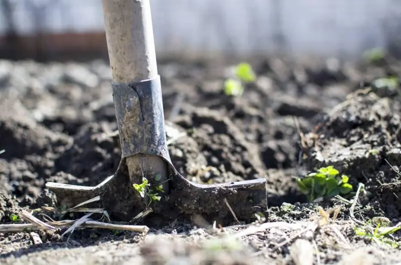 Garden Tools