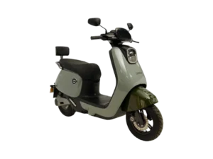 QJ Motor DQ